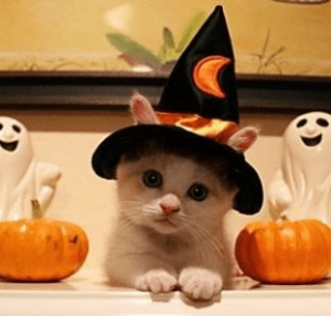 ハロウィン仮装 可愛い猫メイクのやり方は 100均で簡単に コトログ