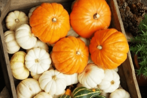 ハロウィンかぼちゃランタン作り方飾り種類くり抜き方