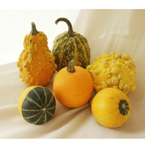 ハロウィンかぼちゃランタン作り方飾り種類くり抜き方25