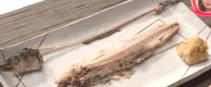 さんまの塩焼きの内蔵や小骨の取り方 きれいな食べ方まとめ コトログ