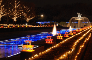 昭和記念公園イルミネーション2017の花火の時間や混雑は 入口は立川口