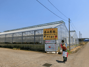 いちご狩り神奈川県おすすめ人気ランキング19 平日営業okは コトログ