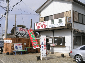 いちご狩り神奈川県おすすめ人気ランキング19 平日営業okは コトログ