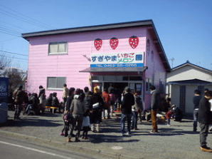 いちご狩り神奈川県おすすめ人気ランキング19 平日営業okは コトログ