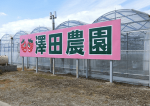 イチゴ狩り愛知県人気ランキング澤田農園