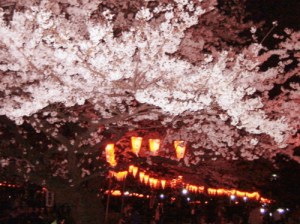上野恩賜公園桜ライトアップ