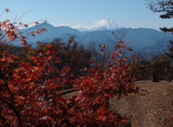 小仏城山富士山きれい紅葉