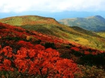 神々の絨毯きれい紅葉栗駒山