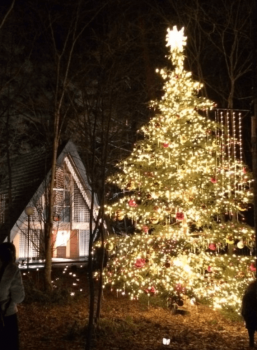 軽井沢高原教会のクリスマスツリー