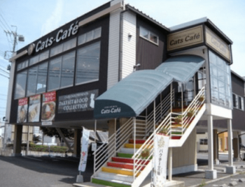 長野市で子連れにおすすめのキャッツカフェ